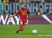 开云体育官方网站-西班牙球员在欧预赛中展示实力