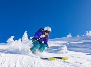 开云平台-橙色堤坝溃于皇家铁骑，阿拉巴刷新纪录之夜，荷兰足球的战术迷思与新生代冲击