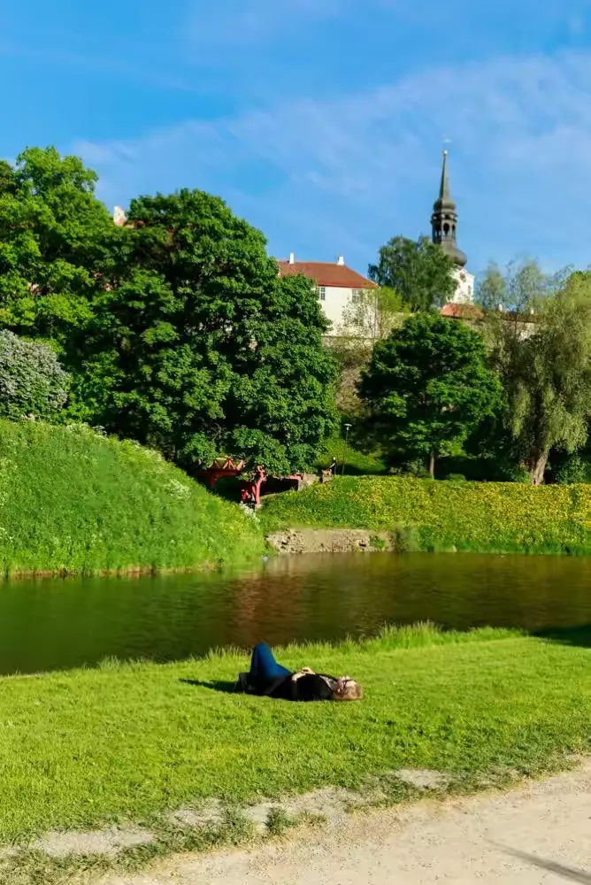 爱沙尼亚队险胜立陶宛，晋级下一轮的简单介绍