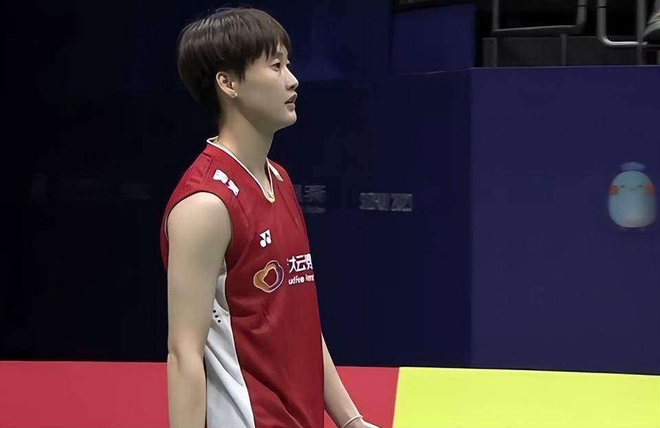 法国队完胜德国队，陈雨菲惊艳四座的简单介绍