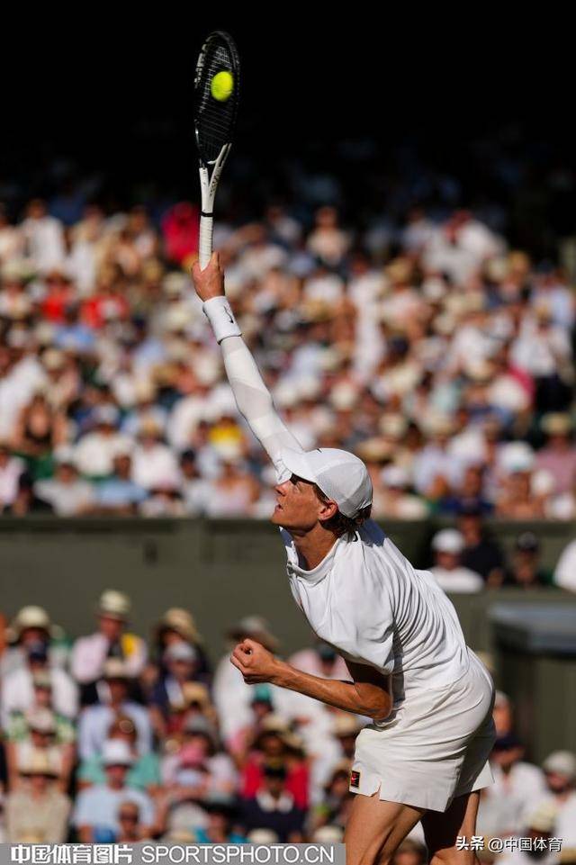 包含温网横扫戴维斯杯，辛纳刷新纪录的词条