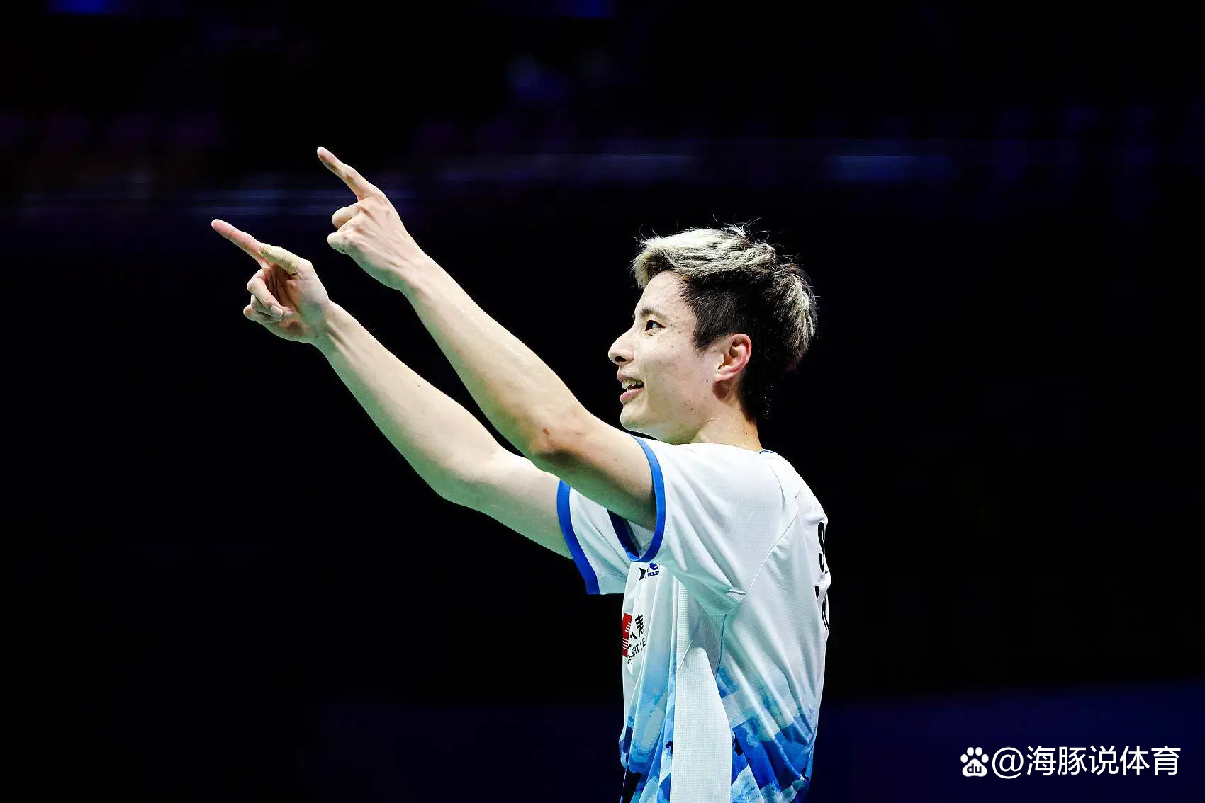 包含法国队鏖战丹麦队，石宇奇惊艳四座的词条