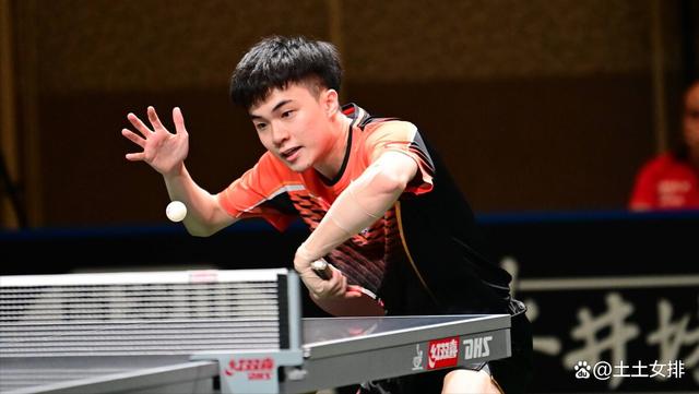 包含波兰队逆转法国队，林高远关键制胜的词条