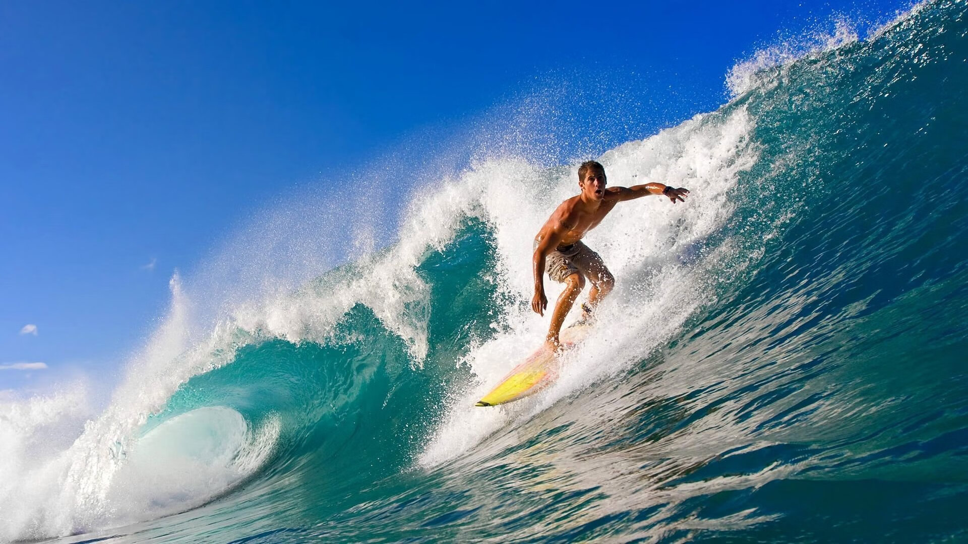 从基多到迈阿密，当厄瓜多尔封锁卡塔尔，奥斯梅恩在东决接管比赛—两个平行世界的封锁与破局