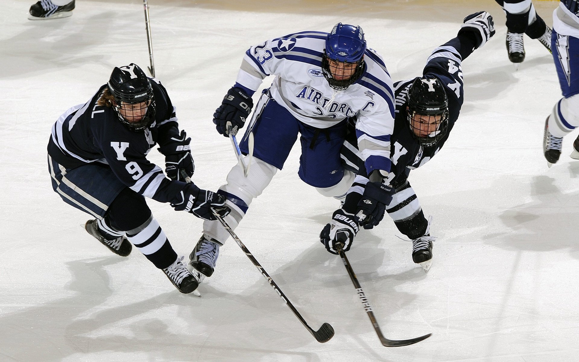 北境新王与卫冕之师,东决关键战,森林狼能否突围雄鹿?